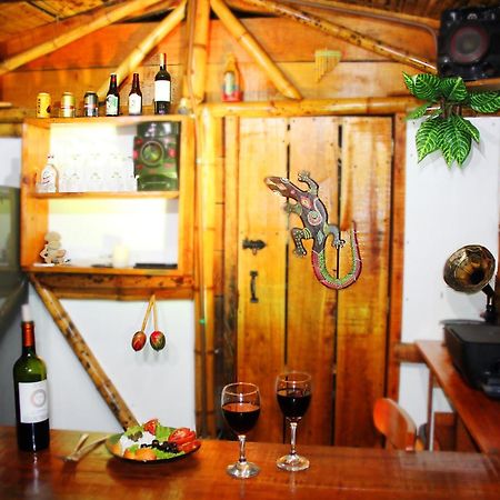 Ecolodge Puente Explanacion 살렌토 외부 사진