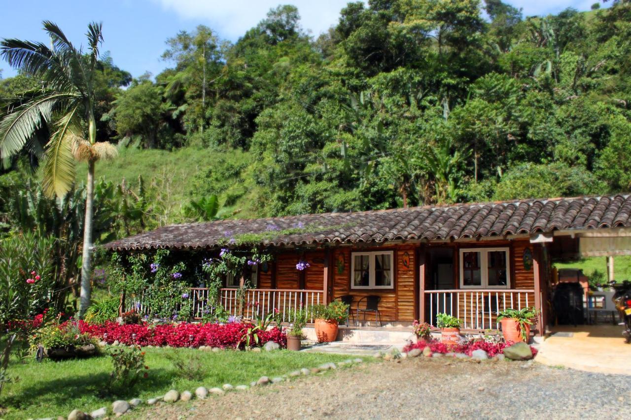 Ecolodge Puente Explanacion 살렌토 외부 사진