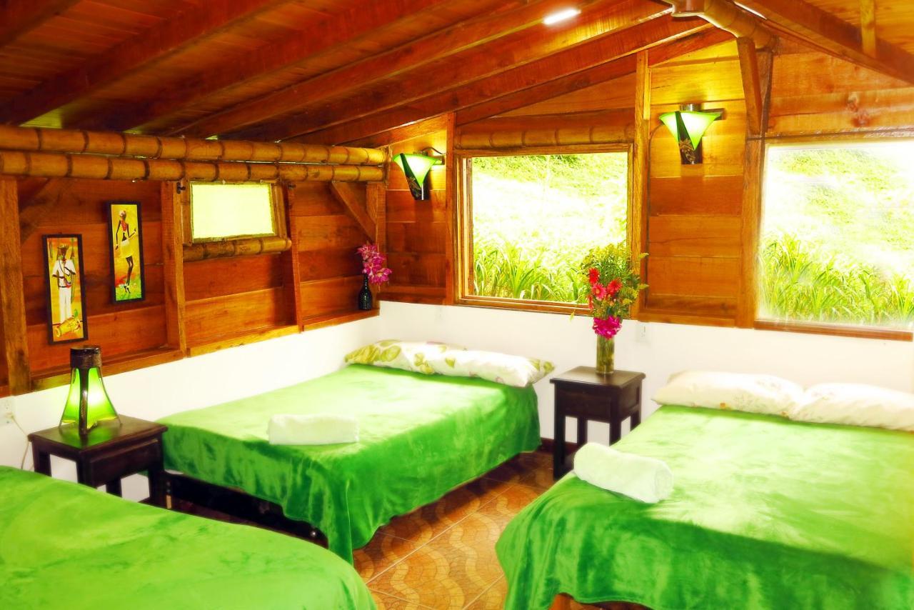 Ecolodge Puente Explanacion 살렌토 외부 사진