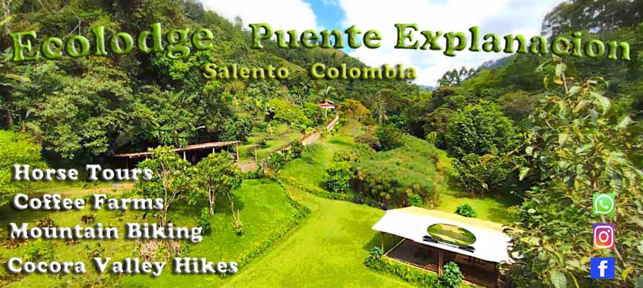 Ecolodge Puente Explanacion 살렌토 외부 사진